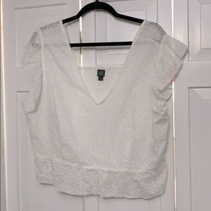 Women's Plus Size Flutter Short Sleeve Eyelet Top